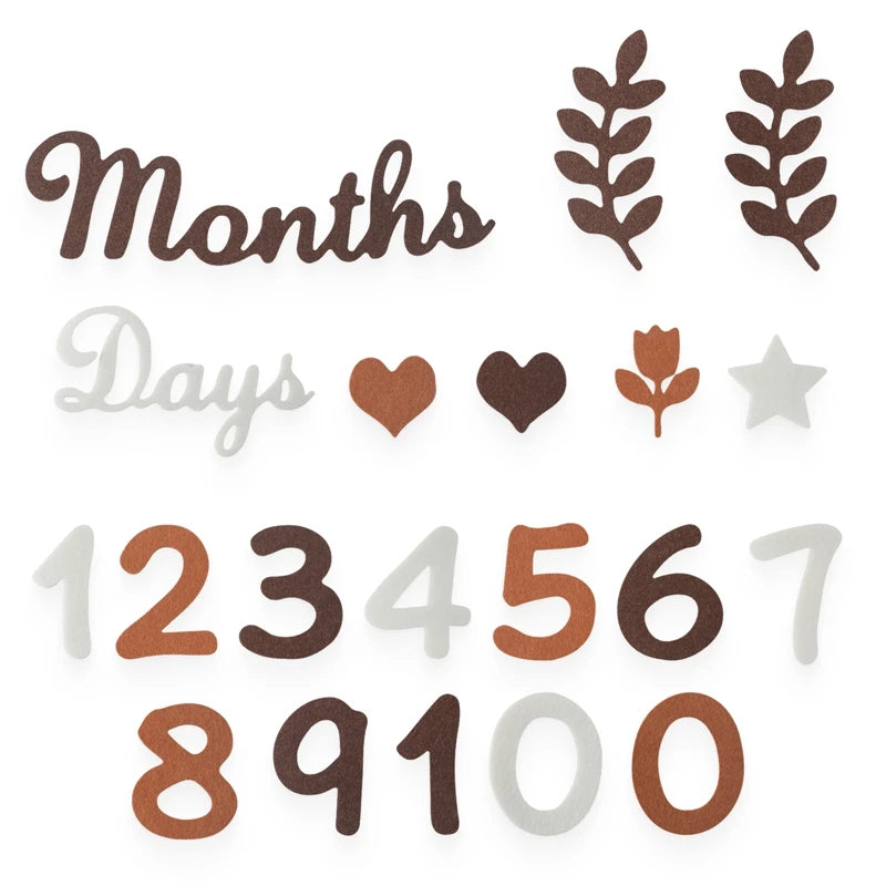 Baby Milestone Cards